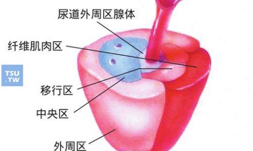 曹清华薏辛止痛胶囊-曹清华牌薏辛除湿止痛胶囊网 - 曹清华薏辛除湿胶囊能治类风湿吗,曹清华薏辛止痛胶囊功效